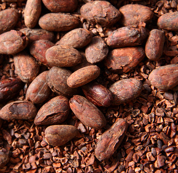 Kakaooad - kakaonibsid