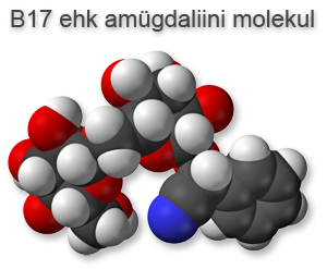 Amügdaliini molekul